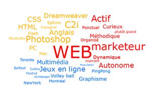 nuage de competences webmarketing