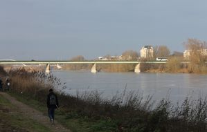 Bords-de-Loire 2862