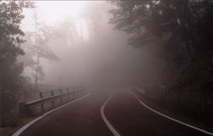 foggy_road205.jpg