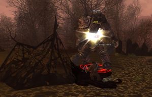 foret noire 11