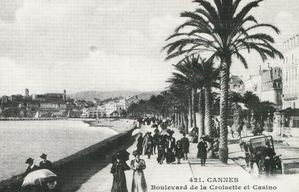 cannes-palmier.jpg