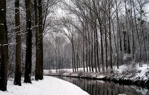 neige canal 2010