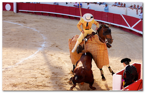 Corrida-2.png
