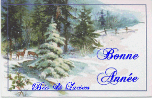 Joyeuses Fetes63