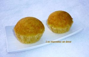 VAPORETTO. MARMITES EN EMOI