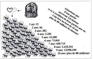 CHATS-CHIFFRES-REPRODUCTION.png