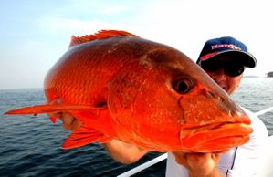 carpe koi (600x389)