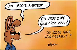 BlogAmateur