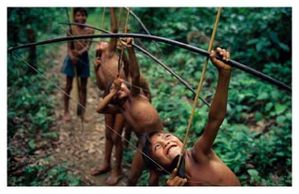 01 Yanomami Deforestation