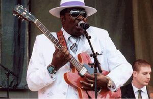 2008_Chi_Blues_Festival_02.jpg
