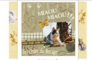 chats du bocage