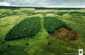 WWF-deforestation-chez-ginie-des-vertes-des-pas-mures-blogs.jpg