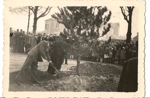plantation arbre de la paix 14 mars 1948