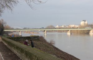 Bords-de-Loire 2849