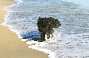 BDF ETE RANGOON LES PIEDS DANS L EAU