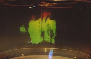 Dali-3600-copie-1.jpg