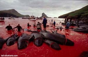 MASSACRE-3.jpg