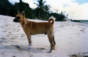 img030.jpg