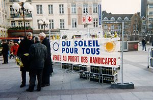mimosa1-copie-1.jpg