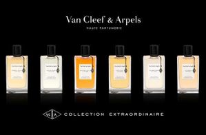 la collection extraordinaire