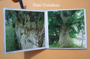 ninie-creations 4984