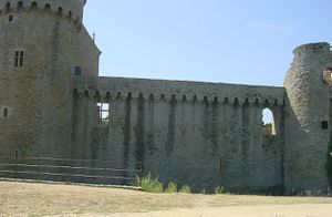Chateau de Suscinio3