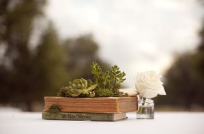 DIY-book-planter-05.jpg