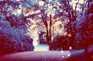 tumblr lvp7wwh6291r7yeblo1 500 large