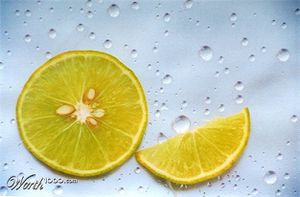 Citron-en-rondelles.jpg