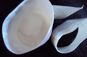 DSC00912.JPG