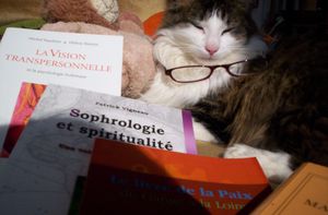 Kitty en pleine lecture