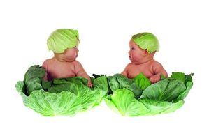 BEBE1.jpg