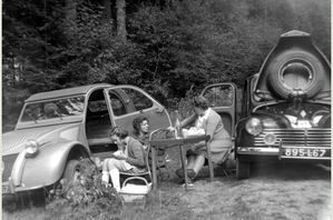 combien-chevaux-cette-image-244485.jpg