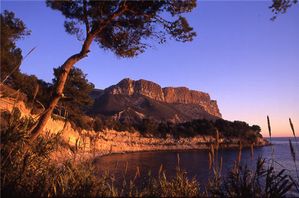005-copie-2.jpg