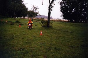 img365