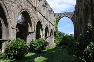 Bretagne abbaye de beauport (10)