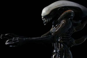 p-700--alien-12-1267553819.jpg