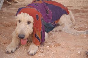 Nikon-Mauretanien-Senegal-090.jpg
