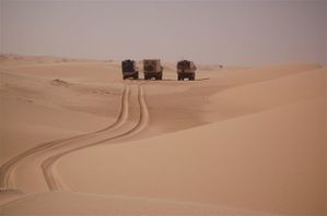 Nikon-Mauretanien-Senegal-184.jpg