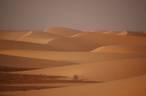 Nikon-Mauretanien-Senegal-229.jpg