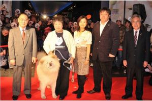 wasao-movie-akita-dog-interview.jpg