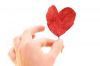 962595_leaf_of_love.jpg