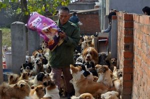 Maison-des-animaux-en-Chine.jpg