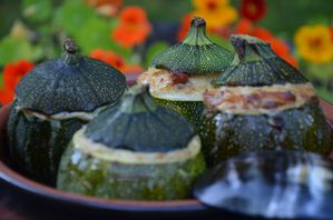 Courgettes portugaises 3