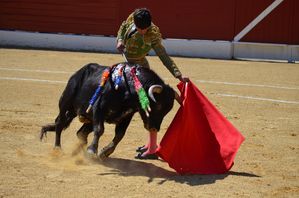 NSP feria 2012 025