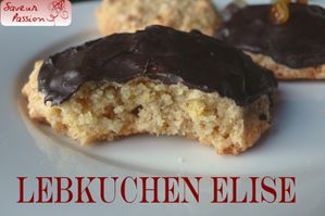 lebkuchen-elise.jpg