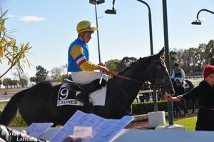 hippodrome-meeting-hiver031212-043--c-Brigitte-Lachaud-.JPG