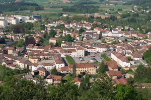 18 BRUYERES avril 2011