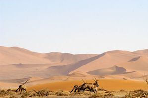 namib-desert-6484.jpg