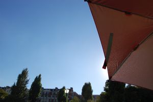 009.JPG